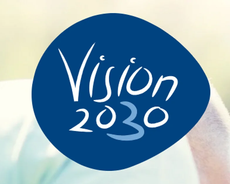 Logo Vision 2030
